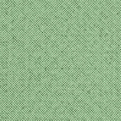 2024 AKNSH Shop Hop - 13610-44 -  Melon - Whisper Weave - Benartex